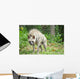 Striped Hyena Wall Decal