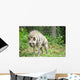 Striped Hyena Wall Decal