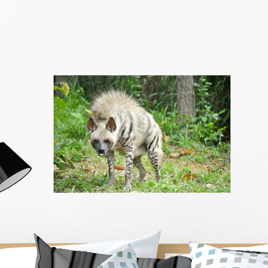 Striped Hyena Wall Decal