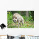 Striped Hyena Wall Decal