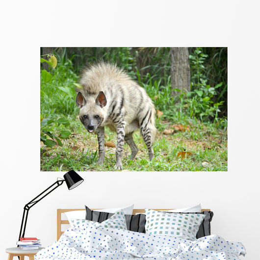 Striped Hyena Wall Decal