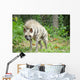Striped Hyena Wall Decal