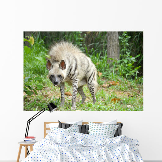Striped Hyena Wall Decal