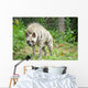 Striped Hyena Wall Decal