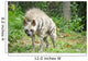 Striped Hyena Wall Decal