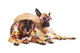 German Shepherd Hawaiian Style Wall Decal