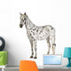 Appaloosa Horse Three-Quarter View Wall Decal