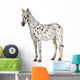 Appaloosa Horse Three-Quarter View Wall Decal