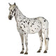 Appaloosa Horse Three-Quarter View Wall Decal
