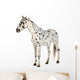 Standing Appaloosa Horse Wall Decal