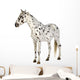 Standing Appaloosa Horse Wall Decal