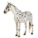 Standing Appaloosa Horse Wall Decal