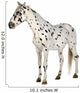 Standing Appaloosa Horse Wall Decal