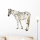 Appaloosa Horse Walking Away Wall Decal