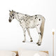 Appaloosa Horse Walking Away Wall Decal