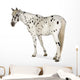 Appaloosa Horse Walking Away Wall Decal