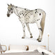 Appaloosa Horse Walking Away Wall Decal