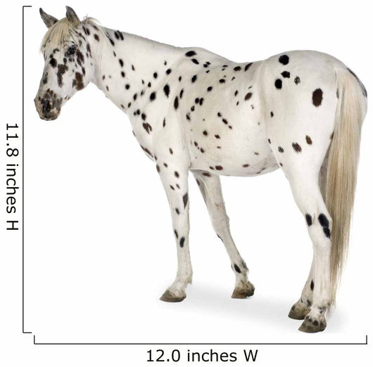 Appaloosa Horse Walking Away Wall Decal