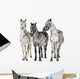 Three Appaloosa Horses - Separated Wall Decal