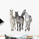 Three Appaloosa Horses - Separated Wall Decal