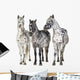 Three Appaloosa Horses - Separated Wall Decal