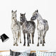 Three Appaloosa Horses - Separated Wall Decal