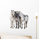 Three Appaloosa Horses - Close Wall Decal