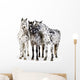 Three Appaloosa Horses - Close Wall Decal