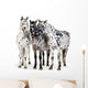 Three Appaloosa Horses - Close Wall Decal
