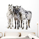 Three Appaloosa Horses - Close Wall Decal