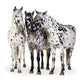 Three Appaloosa Horses - Close Wall Decal