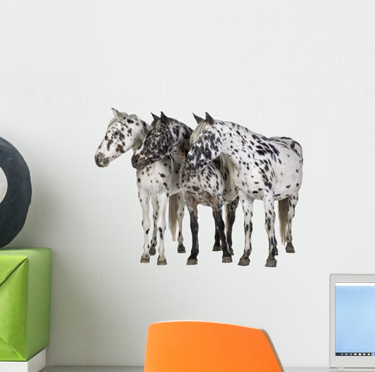 Appaloosa Horse Line-up Wall Decal