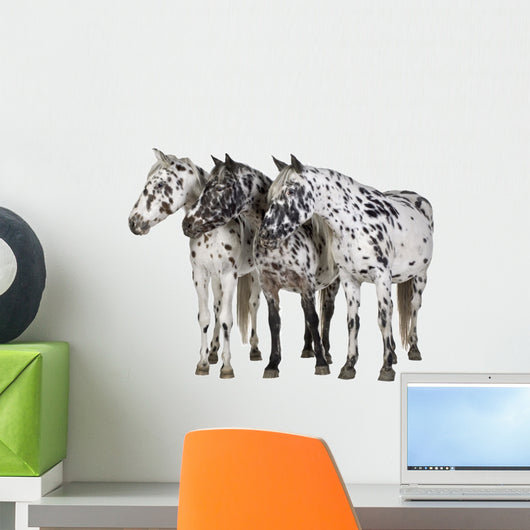 Appaloosa Horse Line-up Wall Decal