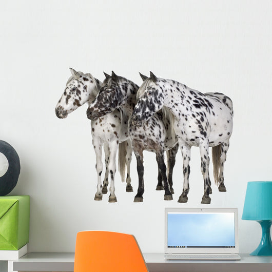 Appaloosa Horse Line-up Wall Decal