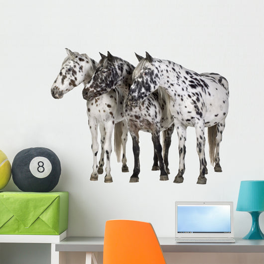 Appaloosa Horse Line-up Wall Decal