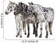 Appaloosa Horse Line-up Wall Decal