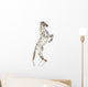 Spotted Appaloosa Horse Wall Decal