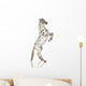 Spotted Appaloosa Horse Wall Decal