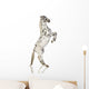 Spotted Appaloosa Horse Wall Decal