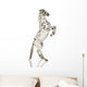 Spotted Appaloosa Horse Wall Decal