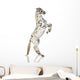 Spotted Appaloosa Horse Wall Decal
