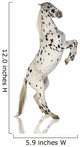 Spotted Appaloosa Horse Wall Decal