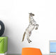 Rearing Appaloosa Horse Wall Decal