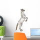 Rearing Appaloosa Horse Wall Decal