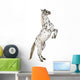 Rearing Appaloosa Horse Wall Decal