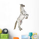 Rearing Appaloosa Horse Wall Decal