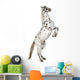 Rearing Appaloosa Horse Wall Decal