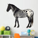 Grey Appaloosa Horse Wall Decal