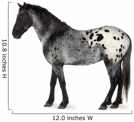 Grey Appaloosa Horse Wall Decal