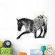 Kneeling Appaloosa Horse Wall Decal